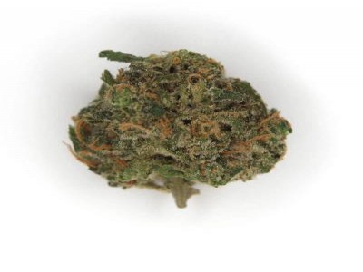 Buy AK-47 Marijuana Strain Online